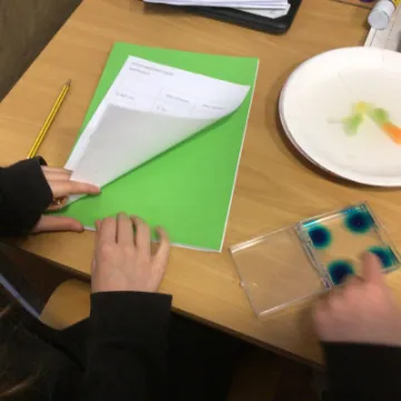 9823FF17-D2D1-4250-9A9F-CAAA1F308DCB