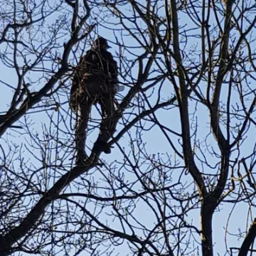 Image: 20230214 091638