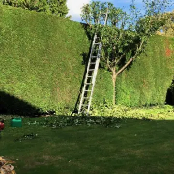 FB IMG 1666188271199