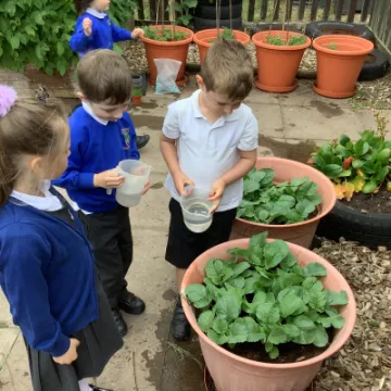 8C45F3EA-593A-4EA4-9388-32CC0F910FFE