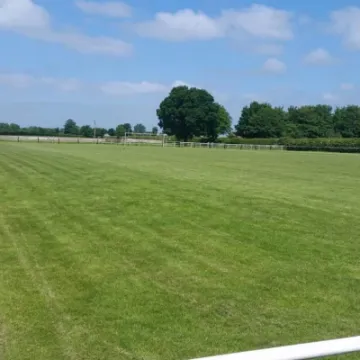Field of Dreams