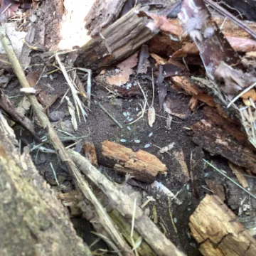 ED296C57-B122-493D-8269-EB431F5E78A8