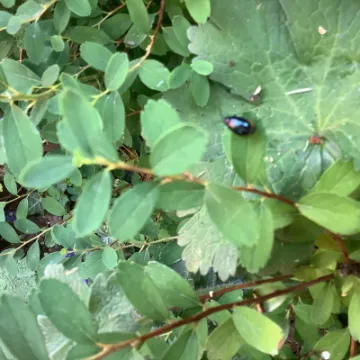 8F051F01-A4C8-4B5B-BBA1-D22A0162AEA0