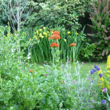 Flower Club Firs Garden June 2023 MD P1040288