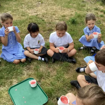 CE27B2CA-30CD-4305-9567-E2A16D6BD865