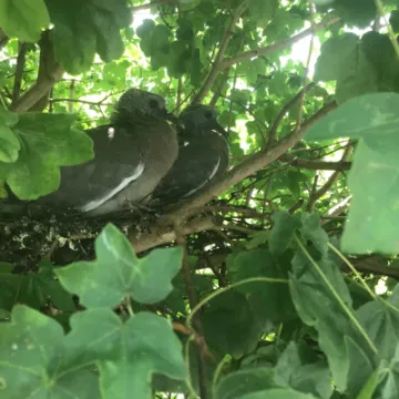 9661F720-754D-451D-8CE7-5DC12E8DA318