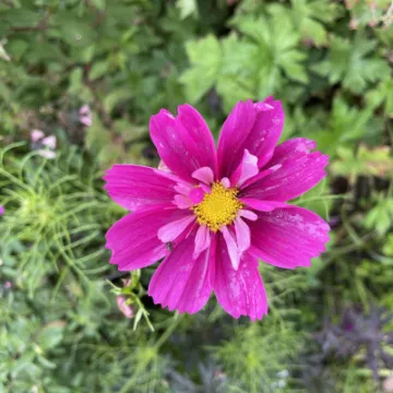 282CC1C5-A2C9-4375-BAD0-5439145B4EEB