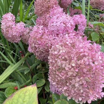 B20E6782-F69E-4CAA-A8B8-2501DE7EF0E2