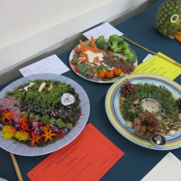 Horticultural show &ndash; Garden on a dinner plate