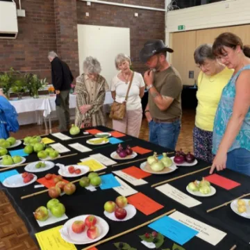 Horticultural Show -2023 Apples