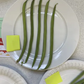 D500A8D9-4A32-4DA4-8208-CDF6F6756C07