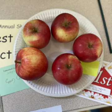 CAF430E7-2445-4901-9AF0-658E0A716534