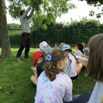 3A63C9F2-5844-461A-925E-0A29165E62EA