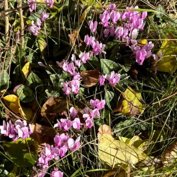 23e5288b 9e12 4295 99ab 20058b3adb20