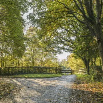 Image: 20231111 102837 Enhanced NR