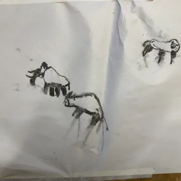 Cave paintings