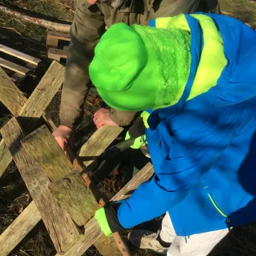 Forest schools