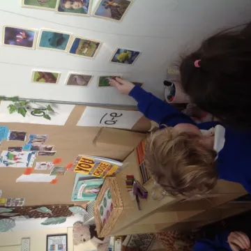 Science Sorting