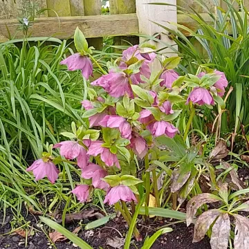 Img_20240224_121610_hdr