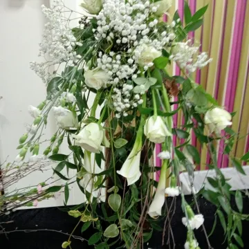 Tarvin Flower Club – Img20240313214241