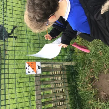 Pe