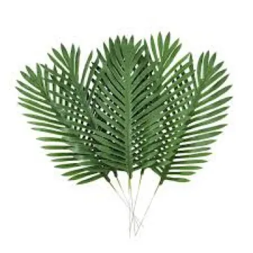 Palm Branch 2