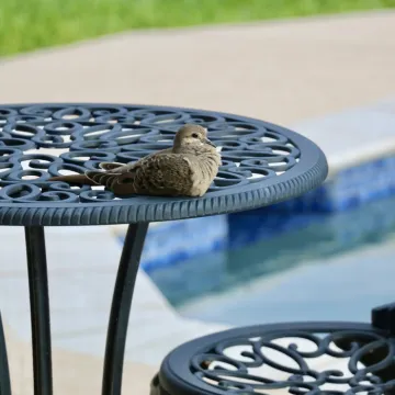 Dove, bird, patio furniture