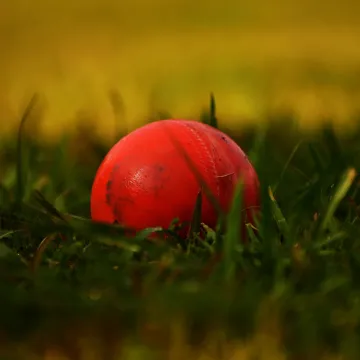 Ball, cricket, sports