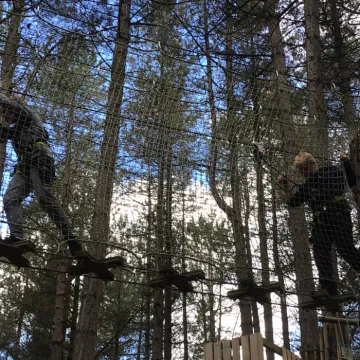 Go Ape