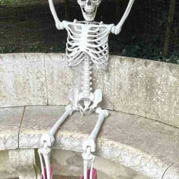 Skelliesandwelliesinthegardens