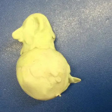 Ducks