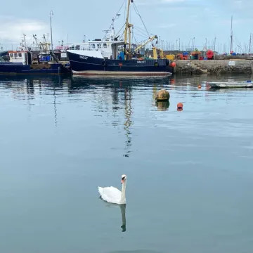 Junior 6-10yr_1_kian-Alone Tim