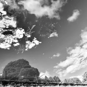 Intermediate 11-14yr_c_millie-