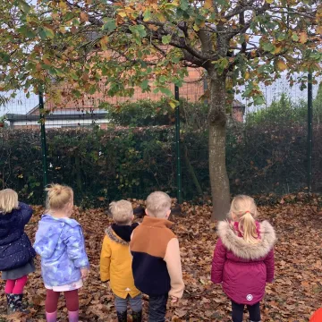 15.11
