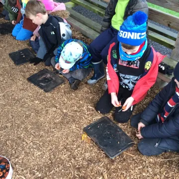 F11