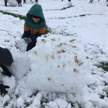 Snow3