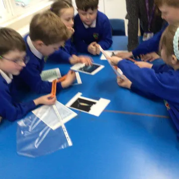 E1d3be83-053a-45a7-8c0f-0dab85687562