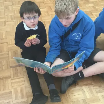 Wbd4