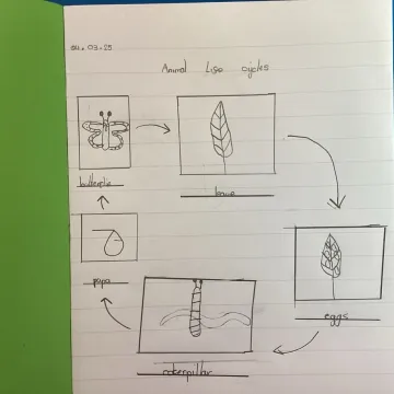 Science