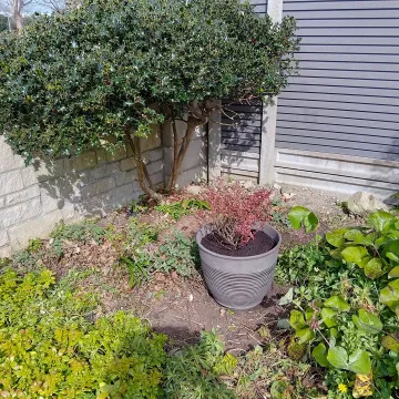 Img_20250322_120105_hdr