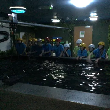 Piranha pool