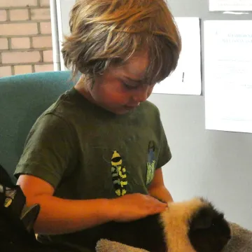 Boy and guinea pig