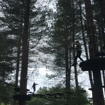 Go Ape