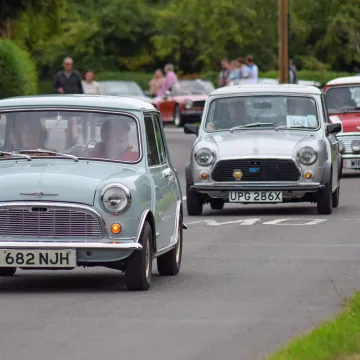 minis