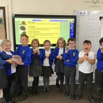 Fossils and crystals!