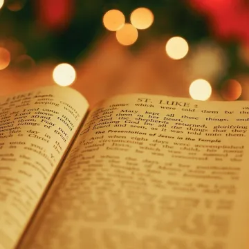 Holy, book, bible, reading, religious, bokeh, blur, christmas, orange book, orange books, orange reading, orange bible, orange bokeh, bible, bible, bible, bible, bible