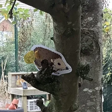 864b2edf-8564-4eb6-A417-C5e928e1b8a5