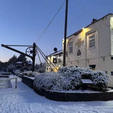 Shroppie in Snow