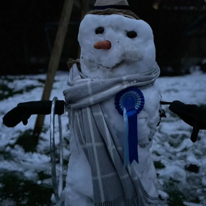 Snow Day 2