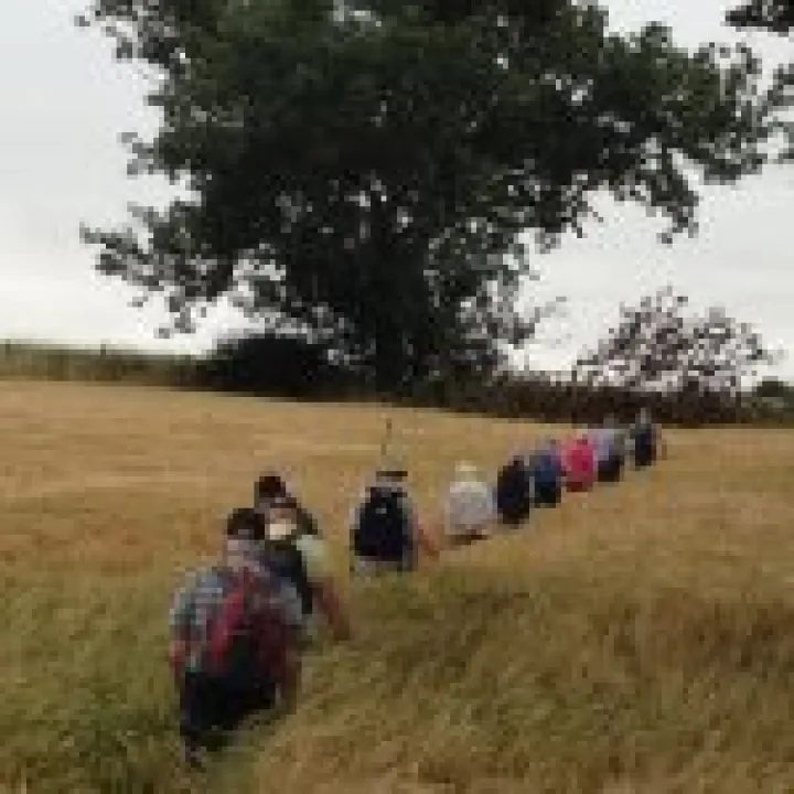Tip Toe through the Barley
